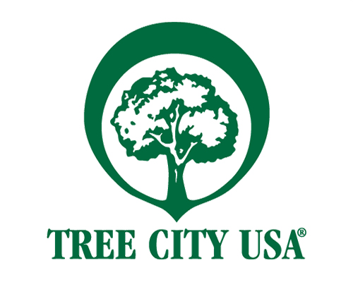 treecity