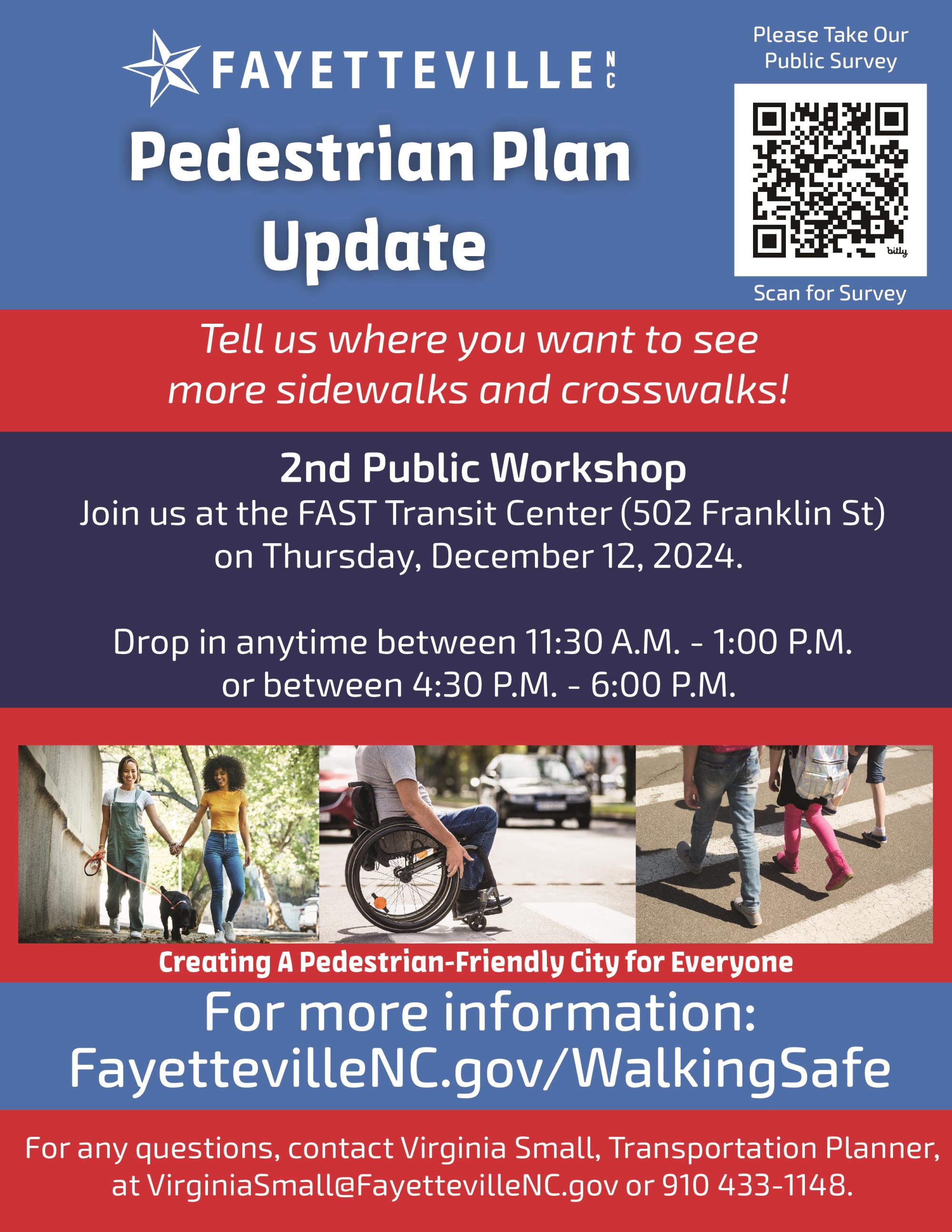 Pedestrian Plan Flyer copy